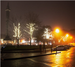 Christmas tree lights in Edinburgh that we helped to put up. Gallery Thumbnail