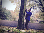 Assessing trees in Edinburgh to BS5837 (2012). Gallery Thumbnail