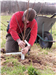 Alex planting a tree on a site in East Lothian. Gallery Thumbnail