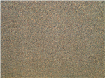 Superior A Grade recycled cut pile carpet tile in a neutral Mushroom shade Gallery Thumbnail