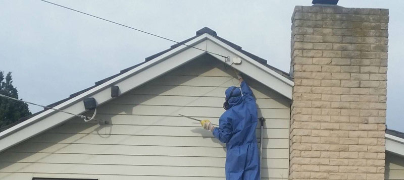 asbestos survey on exterior of building Gallery Image