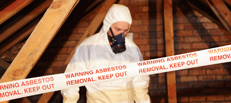Asbestos surveyor Gallery Image