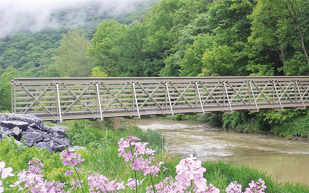 asset FRP Footbridge Gallery Image