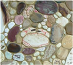 Floor mosaic - Rockpool Gallery Thumbnail