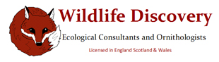 Wildlife Discovery