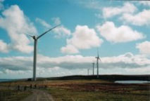 Orkney Sustainable Energy Ltd Image