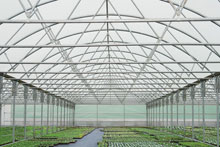 Hortistructures Image