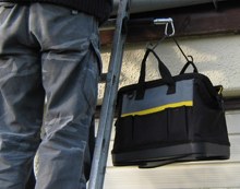 Ladder Limb Ltd Image