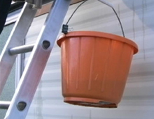 Ladder Limb Ltd Image