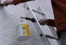 Ladder Limb Ltd Image