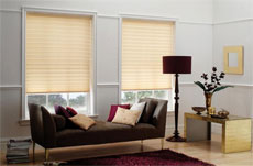 Albany Blinds Edinburgh Image