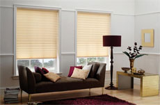 Albany Blinds Edinburgh Image