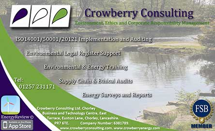 Crowberry Consulting (training) Image